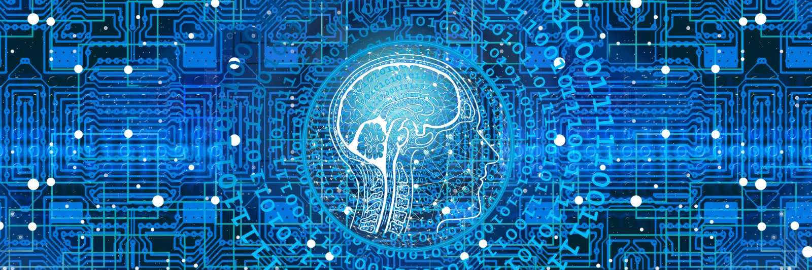 Illustration : le profil d'une tête et de son cerveau, sur un fond de circuits électroniques et de code binaire.